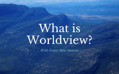 What is Worldview?