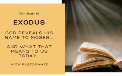 God Reveals His Name to Moses…